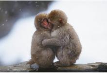 2022年9月12日五行穿衣指南、財(cái)神方位、黃歷