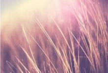 八字看一事無成的人長啥樣