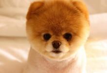 夢見同事說自己壞話好不好