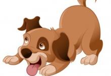 屬相都是鼠的婚配