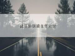 虎年的男孩名字大全