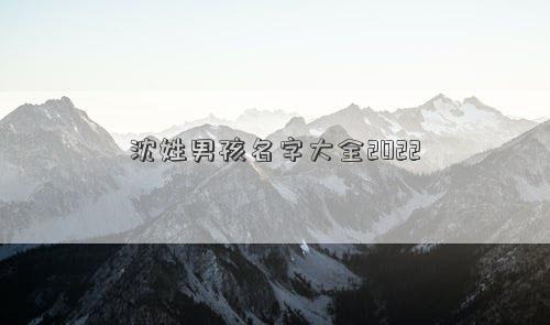 沈姓男孩名字大全2022