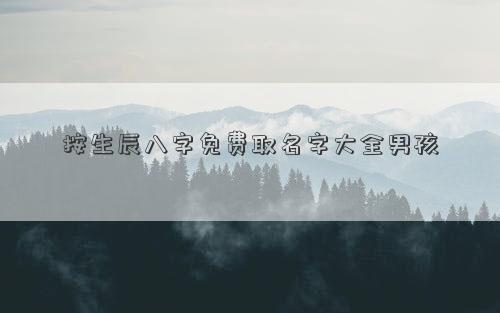 按生辰八字免費取名字大全男孩