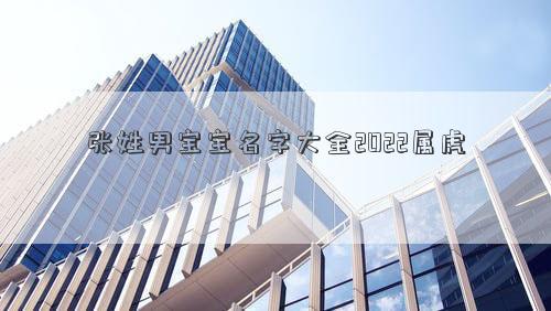 張姓男寶寶名字大全2022屬虎