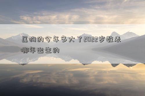 屬狗的今年多大了2022歲數表 哪年出生的
