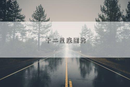 十二星座圖片