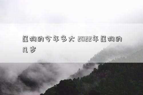 屬狗的今年多大 2022年屬狗的幾歲