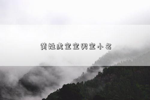 黃姓虎寶寶男寶小名