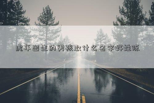 虎年出生的男孩取什么名字好姓陳