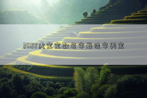 2022虎寶寶取名字最佳字男寶