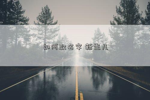 如何取名字 新生兒