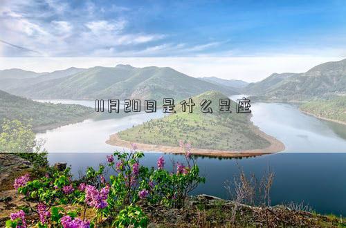 11月20日是什么星座