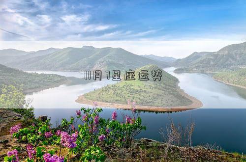 11月7星座運勢