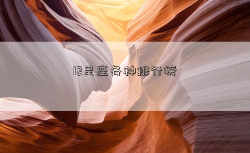 12星座各種排行榜