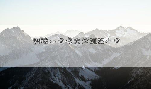 男孩小名字大全2022小名