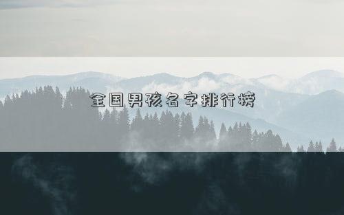 全國男孩名字排行榜