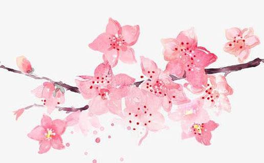 2010屬虎女孩名字大全