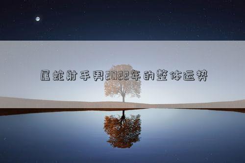 屬蛇射手男2022年的整體運勢
