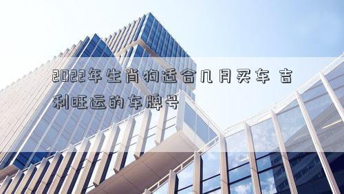 2022年生肖狗適合幾月買車 吉利旺運的車牌號