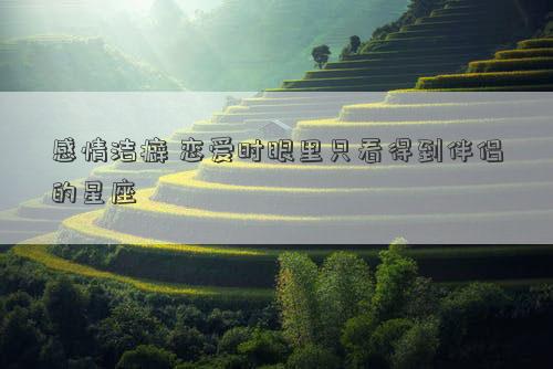 感情潔癖 戀愛時眼里只看得到伴侶的星座