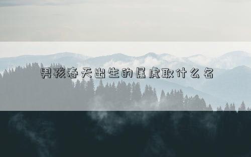 男孩春天出生的屬虎取什么名