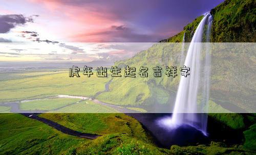 虎年出生起名吉祥字