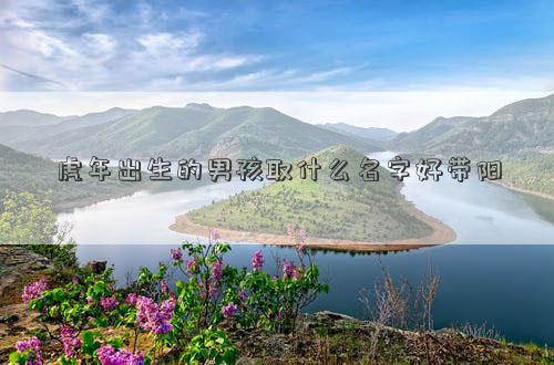 虎年出生的男孩取什么名字好帶陽