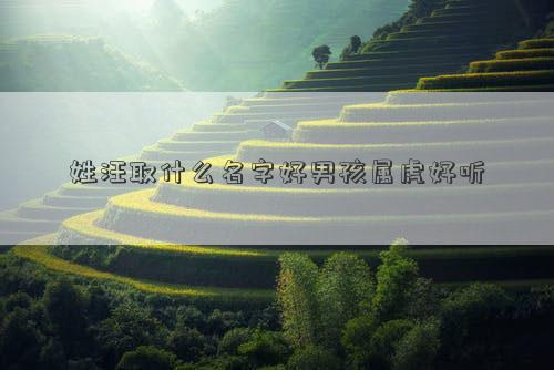 姓汪取什么名字好男孩屬虎好聽