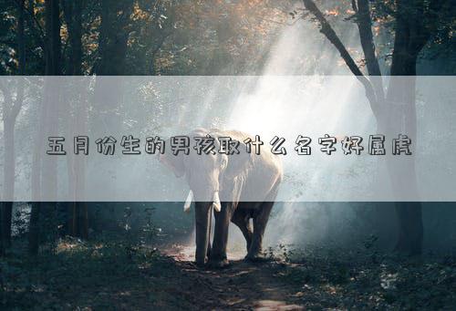 五月份生的男孩取什么名字好屬虎