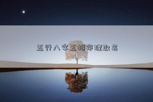 五行八字五格命理取名
