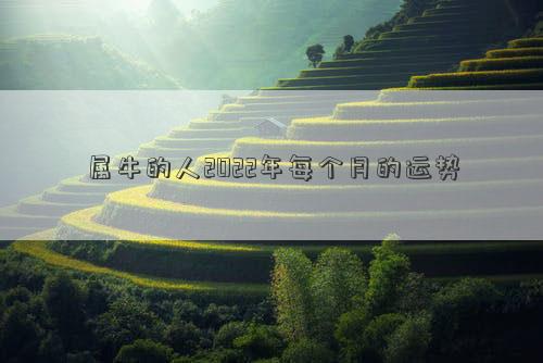 屬牛的人2022年每個月的運勢