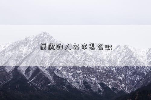 屬虎的人名字怎么取