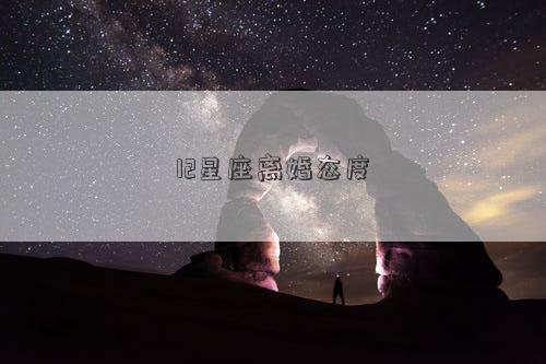 12星座離婚態度