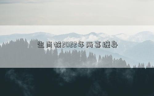 生肖猴2022年兩喜纏身