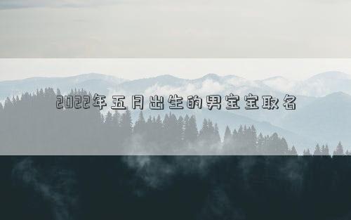 2022年五月出生的男寶寶取名