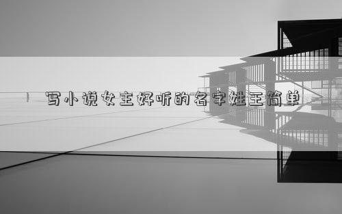 寫小說女主好聽的名字姓王簡單