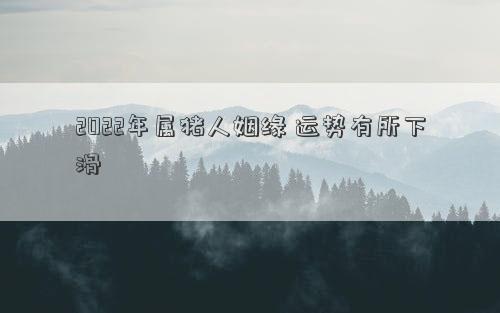 2022年屬豬人姻緣 運勢有所下滑