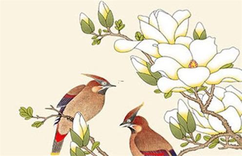 2022屬虎的運勢方位 2022屬虎的運勢方位