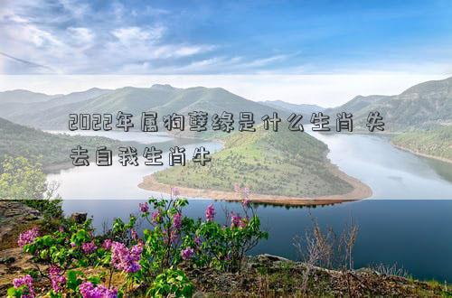 2022年屬狗孽緣是什么生肖 失去自我生肖牛