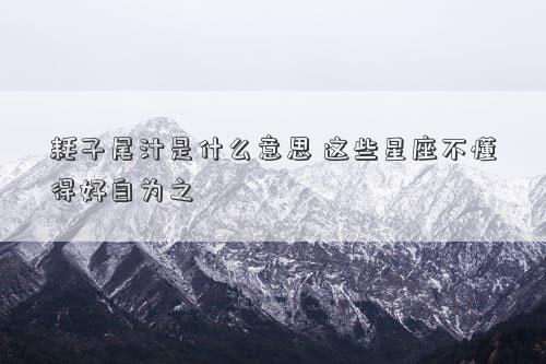 耗子尾汁是什么意思 這些星座不懂得好自為之