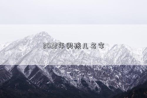2022年男孩兒名字