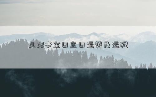 2022辛金日主日運勢及運程