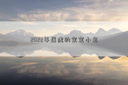 2022年屬虎的寶寶小名