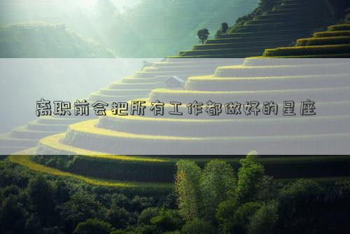 離職前會把所有工作都做好的星座