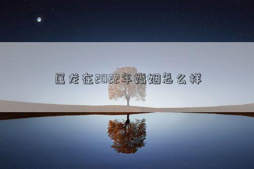 屬龍在2022年婚姻怎么樣