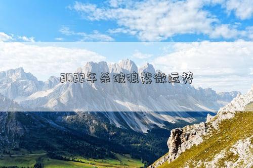 2022年殺破狼紫微運勢