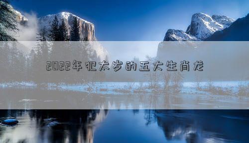 2022年犯太歲的五大生肖龍