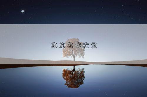 志的名字大全