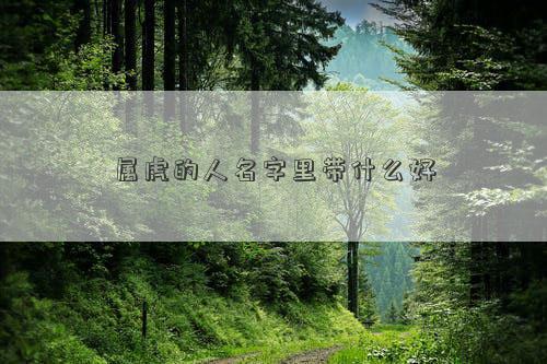 屬虎的人名字里帶什么好