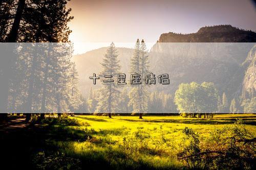十二星座情侶